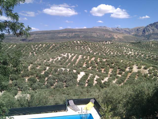 Casa Rural 'CORTIJO LA LEONA'