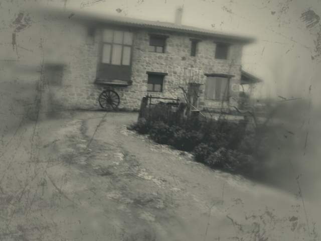 Casa Terror 'El pajaro chico'